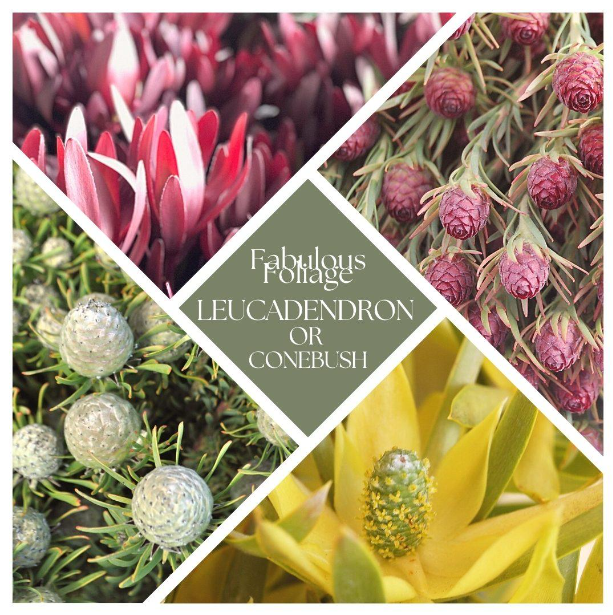 use code: social30 at checkout for $30 off!